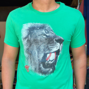 Abercombrie Estampada
